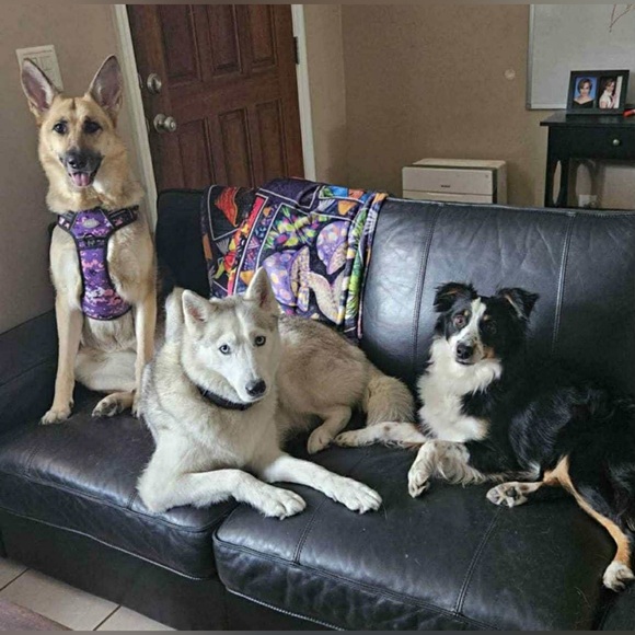 IM LIVE- SHARE SHOW- LIKE TO BE NOTIFIED WHEN I GO LIVE‼️ - Picture 10 of 16